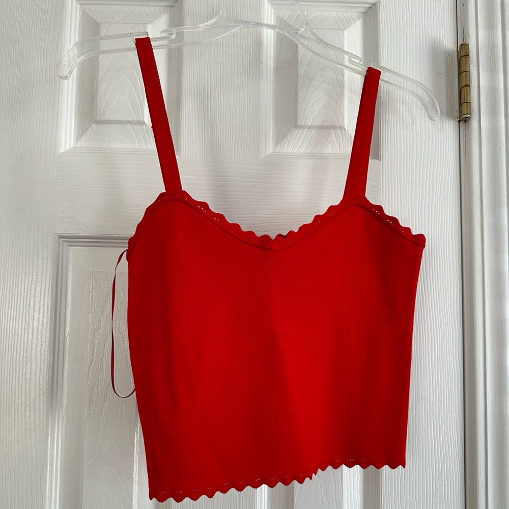 Zara crop top